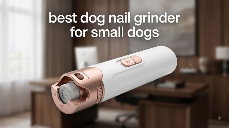 How to Choose the Best Dog Nail Grinder for Small Dogs