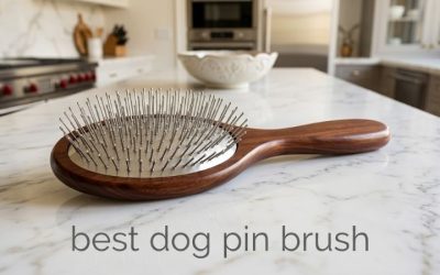 Best Dog Pin Brush: Top Picks for Long and Feathered Coats
