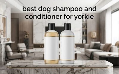 Best Dog Shampoo and Conditioner for Yorkie: 6 Gentle Picks