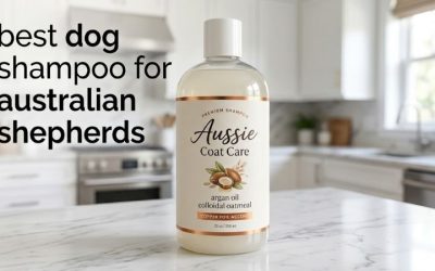 Best Dog Shampoo for Australian Shepherds: Top 6 Choices
