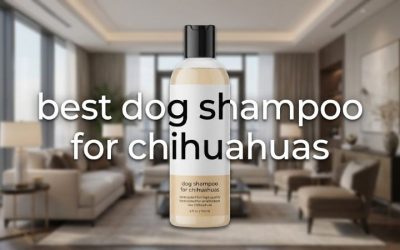 Best Dog Shampoo for Chihuahuas: 6 Gentle Small-Dog Picks