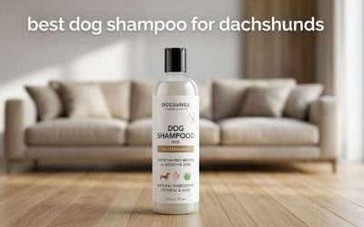 Best Dog Shampoo for Dachshunds: Six Picks by Coat Type