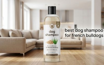 Best Dog Shampoo for French Bulldogs: 6 Gentle, Soothing