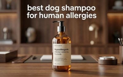Best Dog Shampoo for Human Allergies: 6 Dander-Cutting Picks