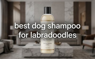 Best Dog Shampoo for Labradoodles: Six Coat-Safe Top Picks