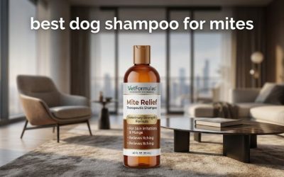 Best Dog Shampoo for Mites: 6 Vet-Backed Support Options