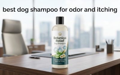 Best Dog Shampoo for Odor and Itching: 6 Dual-Action Picks