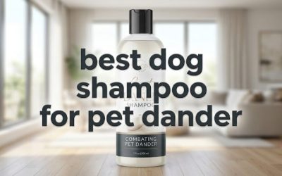 Best Dog Shampoo for Pet Dander: 6 Allergen-Cutting Picks