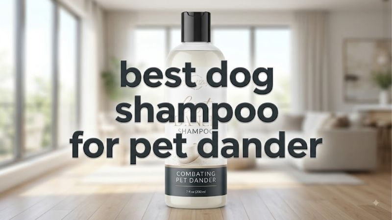 How to Choose the Best Dog Shampoo for Pet Dander