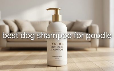 Best Dog Shampoo for Poodle Coats: 6 Gentle Skin-Safe Picks