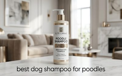 Best Dog Shampoo for Poodles: 6 Gentle, Detangling Picks