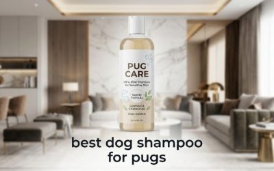 Best Dog Shampoo for Pugs: 6 Picks for Folds and Shedding