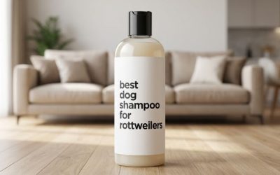 Best Dog Shampoo for Rottweilers: 6 Value Picks for Big Dogs