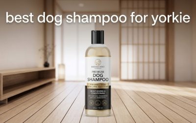 Best Dog Shampoo for Yorkie: 6 Soothing Tear-Free Picks