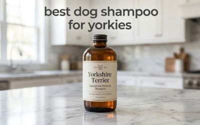 Best Dog Shampoo for Yorkies: 6 Soothing Coat-Care Picks