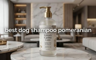 Best Dog Shampoo Pomeranian Owners Trust: 6 Proven Picks