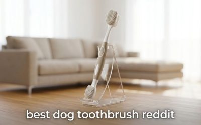 Best Dog Toothbrush Reddit Loves: Top Picks for Clean Teeth