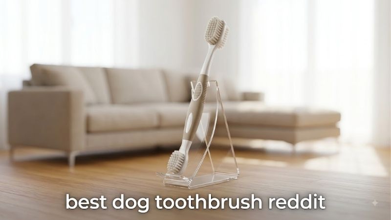 How to Choose the Best Dog Toothbrush Reddit Owners Recommend