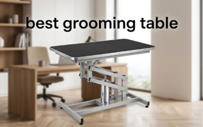 Best Grooming Table: Top Picks for Home and Pro Groomers
