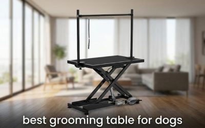 Best Grooming Table for Dogs: 6 Picks Sized by Dog and Lift