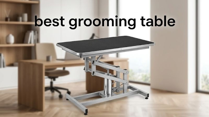 How to Choose the Best Grooming Table