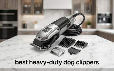 Best Heavy-Duty Dog Clippers: Top 6 Picks for Thick Coats