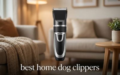 Best Home Dog Clippers: 6 Beginner-Friendly Picks Rated