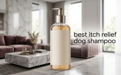 Best Itch Relief Dog Shampoo: Six Picks by Active Group