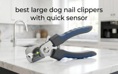 Best Large Dog Nail Clippers with Quick Sensor: 6 Top Picks