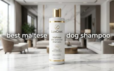 Best Maltese Dog Shampoo: 6 Gentle Picks for White Coats