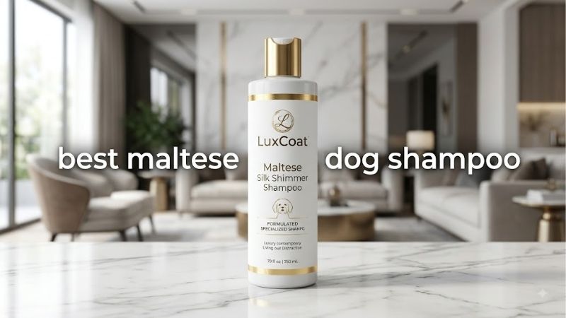 How to Choose the Best Maltese Dog Shampoo