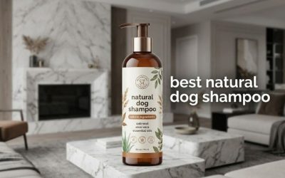 Best Natural Dog Shampoo: 6 Gentle Picks Groomers Trust