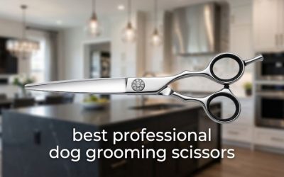 Best Professional Dog Grooming Scissors: 6 Top Salon Picks