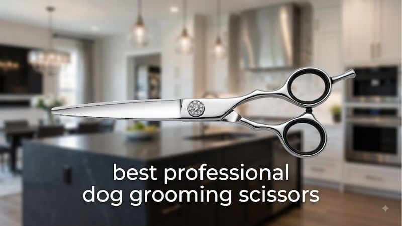 How to Choose the Best Professional Dog Grooming Scissors