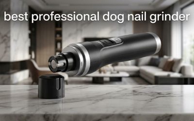 Best Professional Dog Nail Grinder: Five Pro-Grade Picks