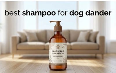 Best Shampoo for Dog Dander: 6 Picks for Flaky, Dry Skin