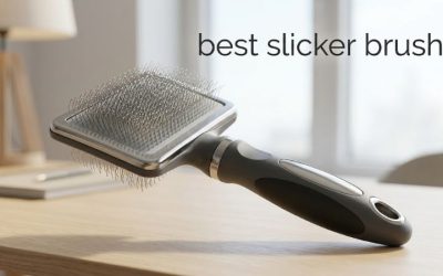 Best Slicker Brush: Six Tested Picks for Every Coat Type
