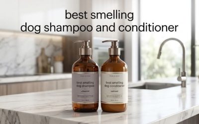 Best Smelling Dog Shampoo and Conditioner: Top 5 Bottles