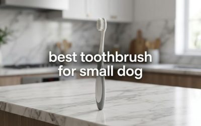 Best Toothbrush for Small Dog Breeds: 6 Vet-Friendly Picks