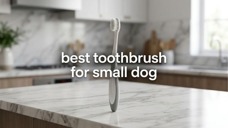 How to Choose the Best Toothbrush for Small Dog Breeds