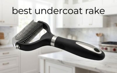 Best Undercoat Rake: 6 Top Picks for Double-Coated Dogs