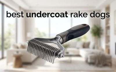 Best Undercoat Rake Dogs Need: Six Rakes Properly Tested