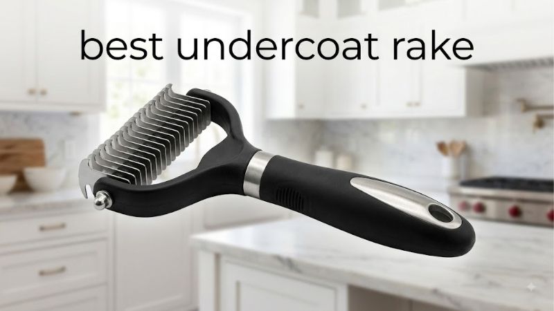 How to Choose the Best Undercoat Rake