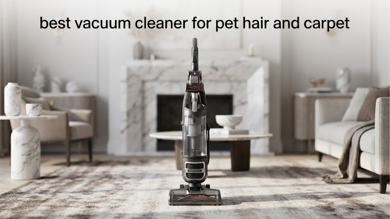 How to Choose the Best Vacuum Cleaner for Pet Hair and Carpet