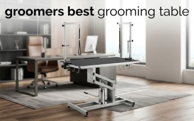 Groomers Best Grooming Table: 6 Professional-Grade Picks