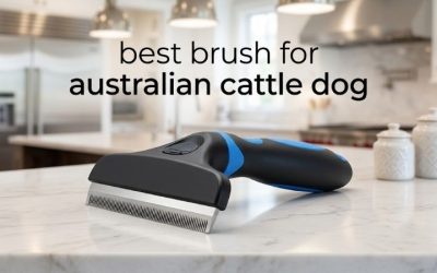 Best Brush for Australian Cattle Dog: 6 Top Deshedding Picks
