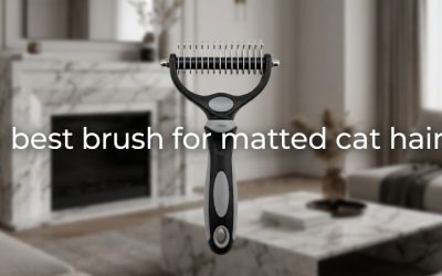Best Brush for Matted Cat Hair: 6 Top Dematting Picks 2026