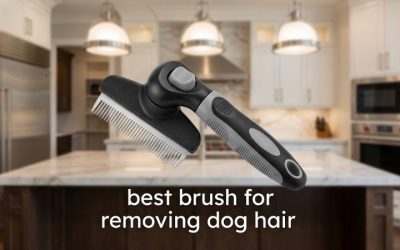 Best Brush for Removing Dog Hair: 6 Top Deshedding Picks