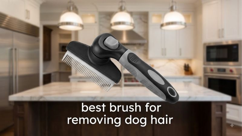 How to Choose the Right Best Brush for Removing Dog Hair
