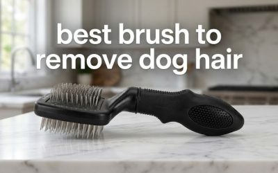 Best Brush to Remove Dog Hair: 6 Top Deshedding Picks 2026